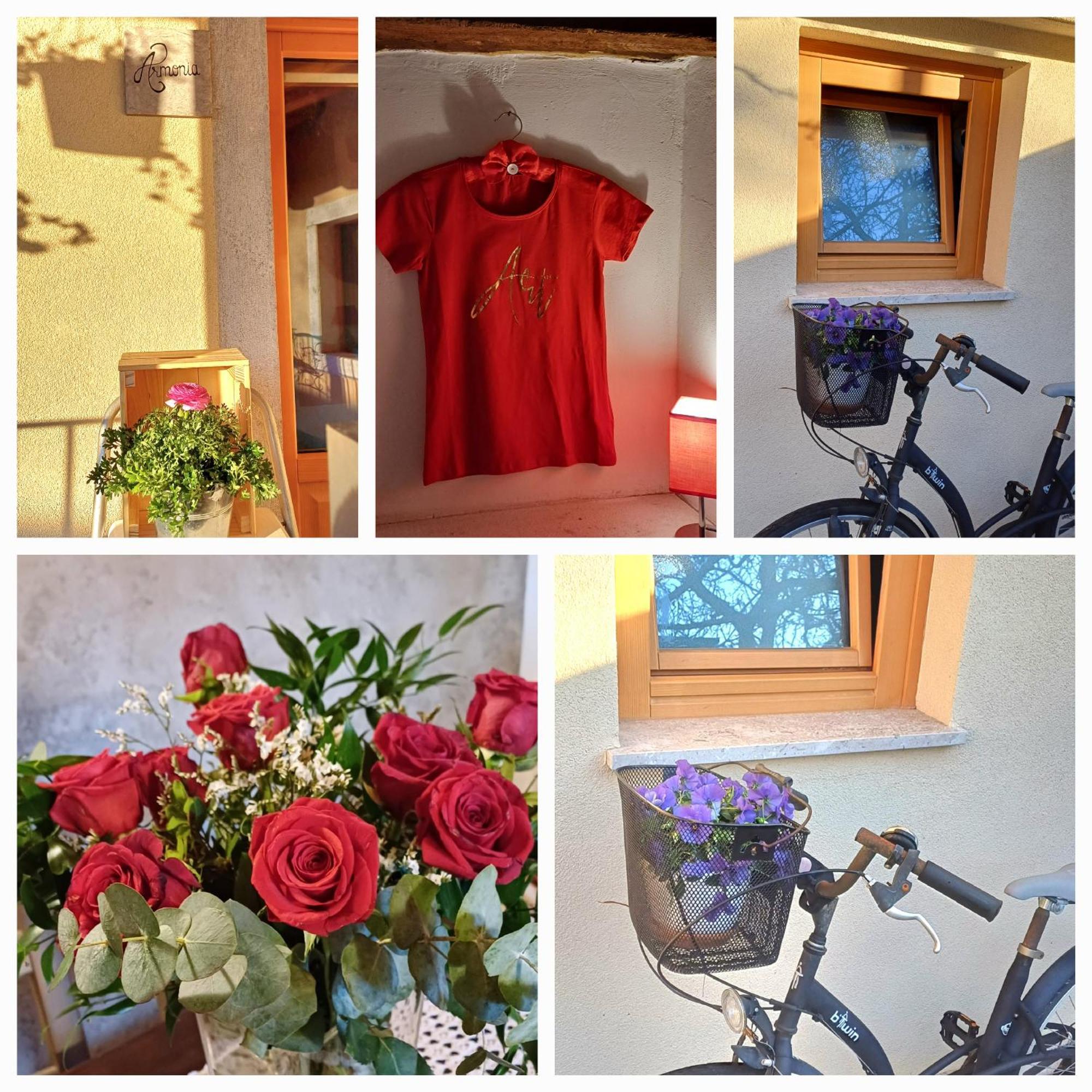 Bed & Breakfast Barbara Borgo Grotta Gigante Exterior foto